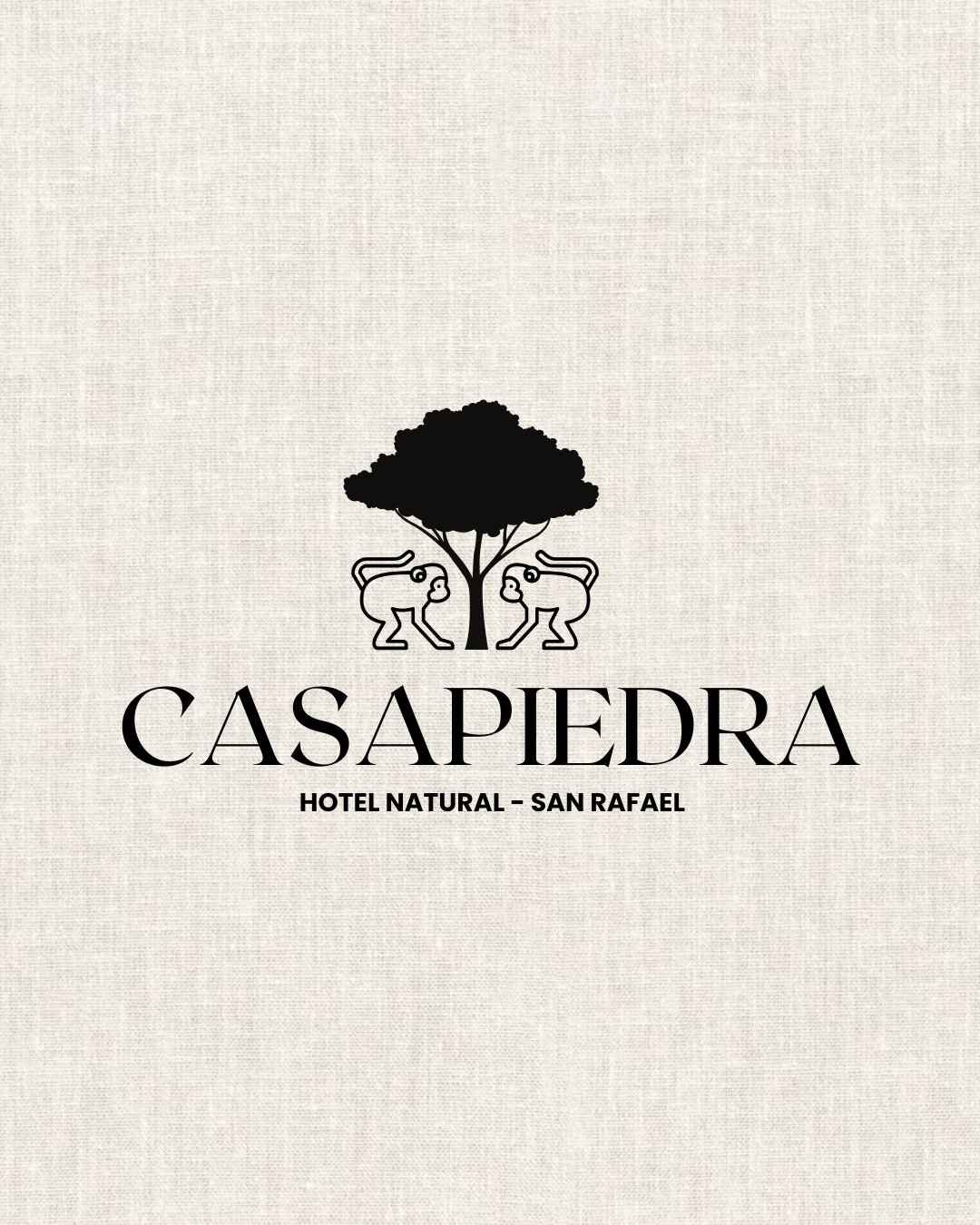 Proyecto Casa Piedra